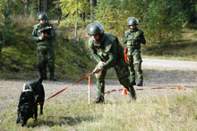 militarhund